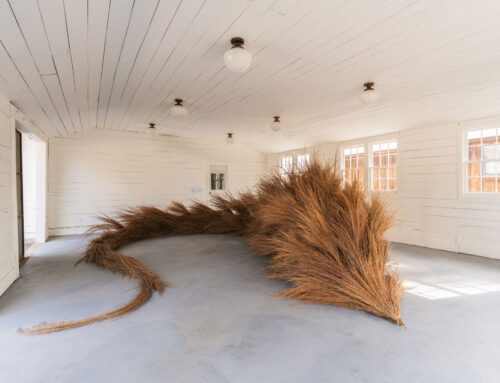 La Cuna Center Connects Art and Nature in the Hill Country by Texas Highways