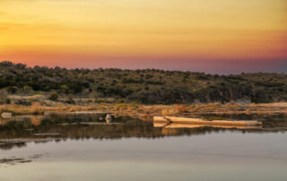 Tribeza Summer Getaway Guide