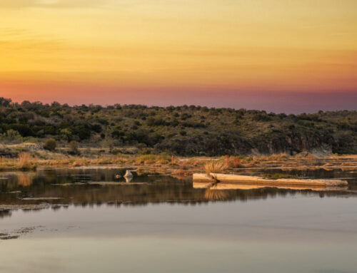 TRIBEZA’s 2026 Summer Getaway Guide